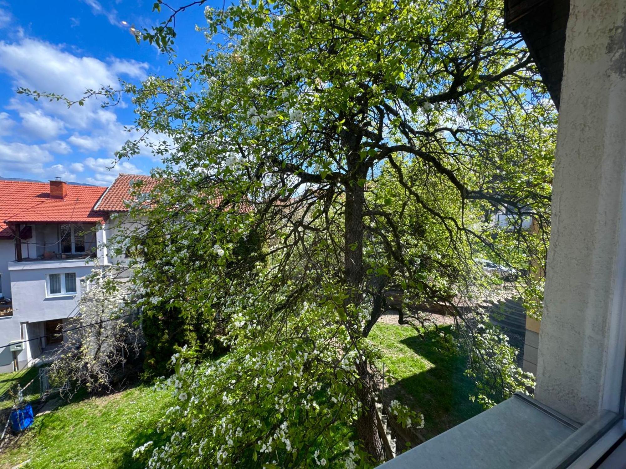 Apartment Wood & Light Loft - Private Parking Sarajevo